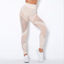 NCLAGEN Seamless Set Women Long Sleeve Top T Shirt Yoga Pants Leggings Suit Fitness Gym Sports Workout Running Gymwear Outfit