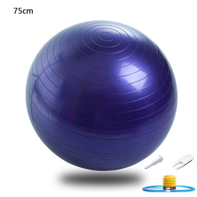 45cm 65cm 75cm Yoga Ball Fitness Balls Sports Pilates Birthing Fitball Exercise Training Workout Massage Ball gym ball With Pump