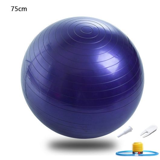 45cm 65cm 75cm Yoga Ball Fitness Balls Sports Pilates Birthing Fitball Exercise Training Workout Massage Ball gym ball With Pump