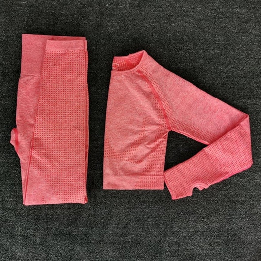 Women Seamless yoga set Fitness Sports Suits GYM Cloth Yoga Long Sleeve Shirts High Waist Running Leggings Workout Pants Shirts