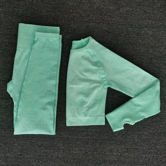 Women Seamless yoga set Fitness Sports Suits GYM Cloth Yoga Long Sleeve Shirts High Waist Running Leggings Workout Pants Shirts