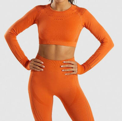 Women's Tracksuit Yoga Gym Sets Workout Clothes Fitness Running Sportwear Women Long Sleeve High Waist Mesh Leggings Shirt Suit